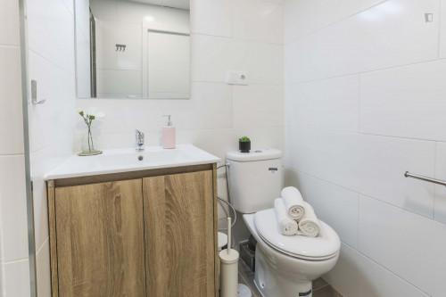 Double Bedroom in well-linked Vallehermoso - Gallery - 12