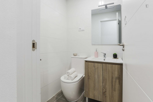 Double Bedroom in well-linked Vallehermoso - Gallery - 7