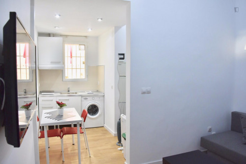 Really cool 1-bedroom apartment in Ciudad Universitária