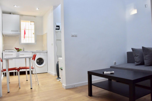 Really cool 1-bedroom apartment in Ciudad Universitária - Gallery - 17