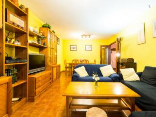 4-Bedroom apartment near Casco Histórico de Barajas - Gallery - 41