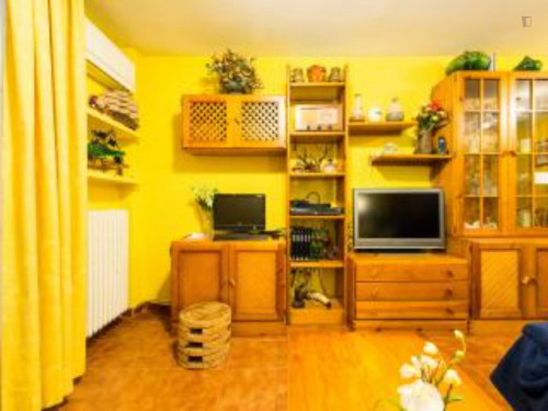 4-Bedroom apartment near Casco Histórico de Barajas - Gallery - 42