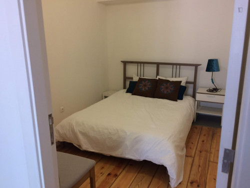 Lovely 1-bedroom apartment close to Lisbon School of Economics and Management
