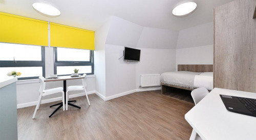  Gold Studio  -  The Mill House  - Gallery -  2