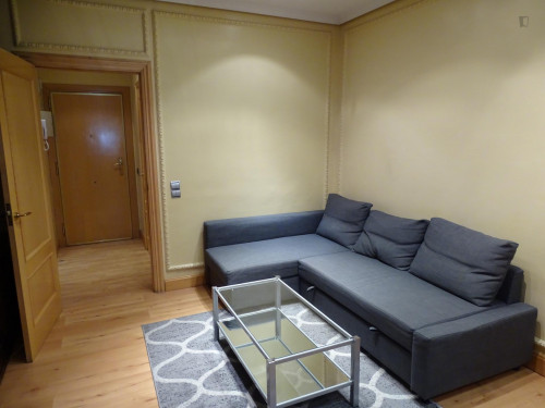 2-Bedroom apartment near Instituto de Empresa.Calle Alvarez de Baena 4 - Gallery - 24
