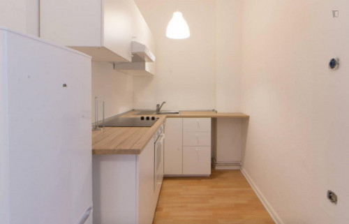 Spacious room in 5-bedroom apartment in Tempelhof-Schöneberg - Gallery - 8