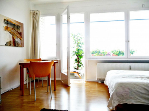 Studio, with outdoor area - Gallery - 5