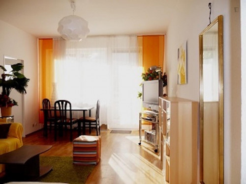 Neat studio in Wilmersdorf - Gallery - 5
