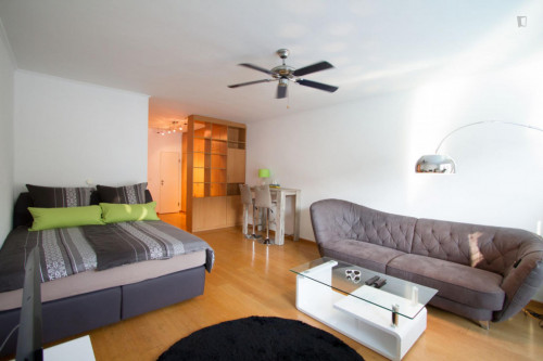  Cool And Comfortable Studio In Wilmersdorf  -  Cool and comfortable studio in Wilmersdorf  - Gallery -  2