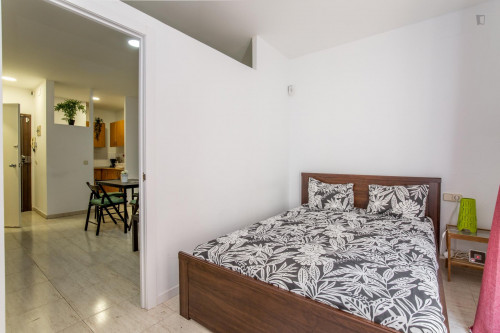 Beautiful double bedroom next to Facultat de Filosofia - Universitat de Barcelona