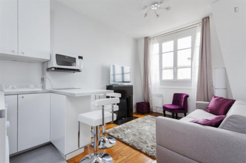 Cool 1-bedroom apartment near Duroc metro station  - Gallery -  5