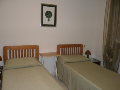 Nice twin bedroom with private bathroom  - Gallery -  2