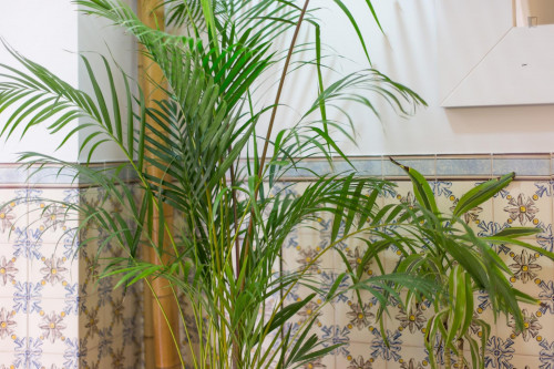 Studio apartment close to Rossio metro station