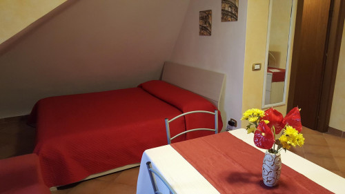 Charming Studio, Walking distance to "Gemelli" Hospital