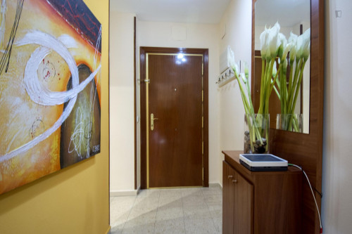Double Bedroom near Universidad de Alcalá - Gallery - 13