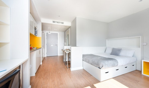  Studio Platinum  -  Merchant Studios  - Gallery -  1