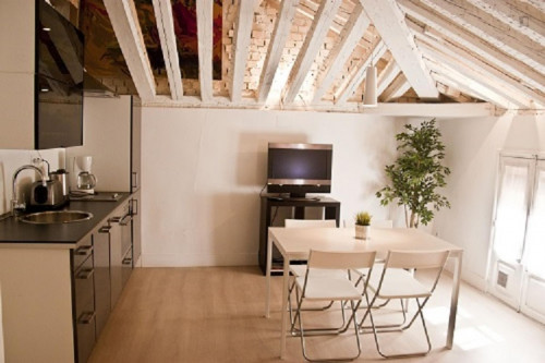 Inviting apartment close to La Latina metro station - Gallery - 7