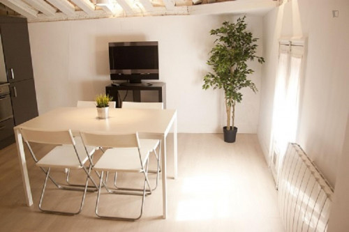 Inviting apartment close to La Latina metro station - Gallery - 5