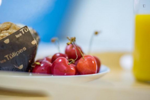 Lovely 3 bedroom apartment in Gothic near the Boqueria and the Ramblas. - Gallery - 5