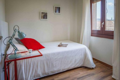 Lovely 3 bedroom apartment in Gothic near the Boqueria and the Ramblas. - Gallery - 12