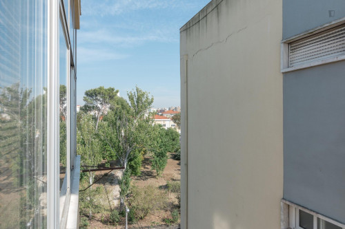 Nice single bedroom near ISG - Instituto Superior de Gestão