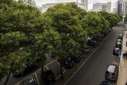 Fantastic 4-bedroom apartment close to Instituto Superior Técnico de Lisboa - Gallery - 25