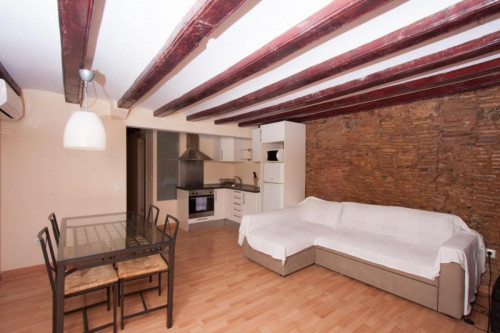 Lovely 2-bedroom flat in lively Barrio Gótico  - Gallery -  2