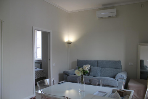 Comfortable 1 Bedroom Apartment near to Politecnico di Milano - Gallery - 10