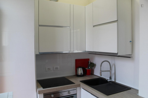 Comfortable 1 Bedroom Apartment near to Politecnico di Milano - Gallery - 5
