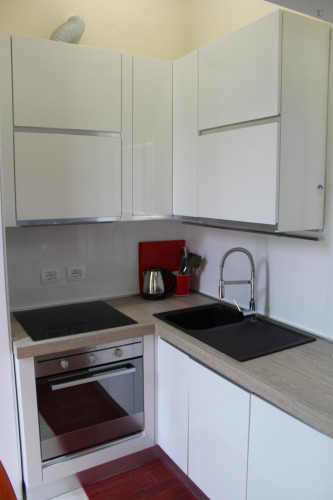 Comfortable 1 Bedroom Apartment near to Politecnico di Milano - Gallery - 6
