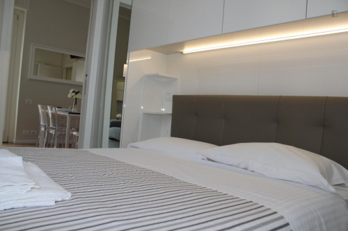 Comfortable 1 Bedroom Apartment near to Politecnico di Milano - Gallery - 19