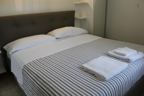 Comfortable 1 Bedroom Apartment near to Politecnico di Milano - Gallery - 20