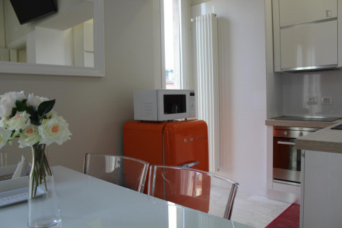 Comfortable 1 Bedroom Apartment near to Politecnico di Milano - Gallery - 7