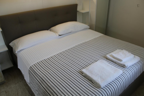 Comfortable 1 Bedroom Apartment near to Politecnico di Milano - Gallery - 22
