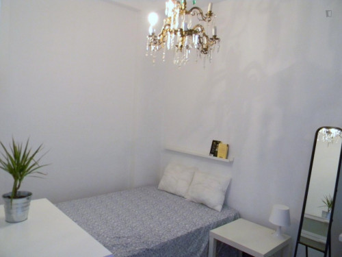 Nice single bedroom in Sant Francesc  - Gallery -  1