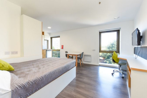  Studio Gold  -  Byrom Point Roost  - Gallery -  1