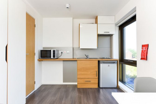  Studio Gold  -  Byrom Point Roost  - Gallery -  4