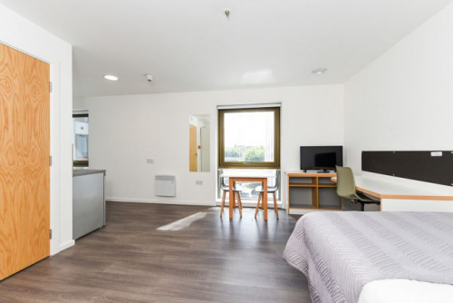  Studio Platinum  -  Byrom Point Roost  - Gallery -  4