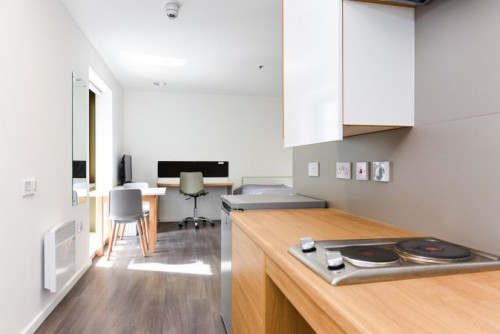  Studio Platinum  -  Byrom Point Roost  - Gallery -  2