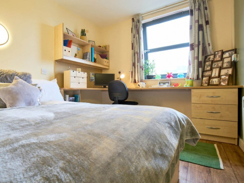  Bronze En Suite  -  Europa, Liverpool  - Gallery -  7