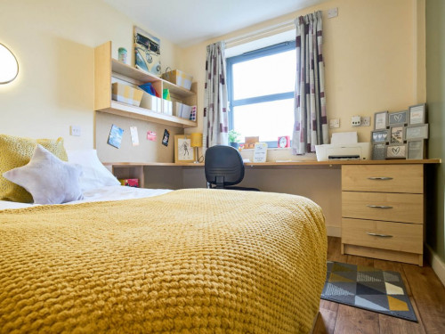 Lower Ground Floor En-Suite - 9