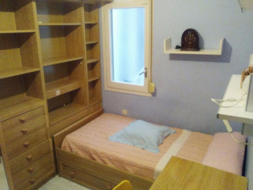  Single Bedroom, In 4-Bedroom Apartment  -  Single bedroom, in 4-bedroom apartment  - Gallery -  2