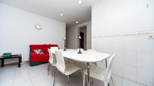 Single bedroom in a grand 8-bedroom flat in Embajadores - Gallery - 8