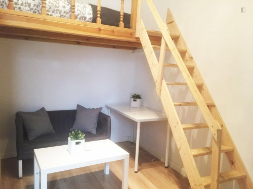  Single Bedroom In Nice Apartment In The Appealing Opera Neighbourhood  -  Single bedroom in nice apartment in the appealing Opera neighbourhood  - Gallery -  2