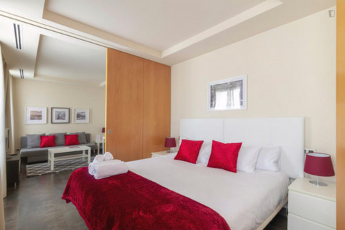 Wonderful one bedroom apartment in Madrid, near Bilbao metro station  - Gallery -  1