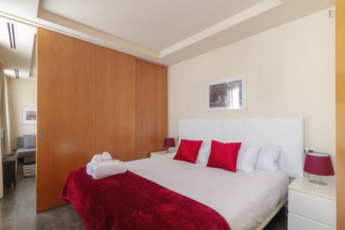 Wonderful one bedroom apartment in Madrid, near Bilbao metro station  - Gallery -  3