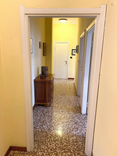 Cosy single room well connected to city centre - Gallery - 13