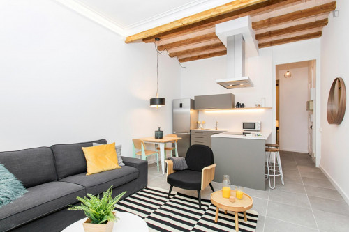 Fantastic 2-bedroom apartment near Urgell metro station