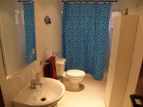 Nice single bedroom in a 3-bedroom flat near Parque del Retiro