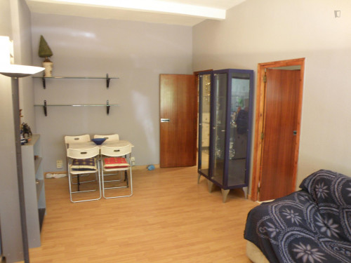 Nice single bedroom in a 3-bedroom flat near Parque del Retiro  - Gallery -  3